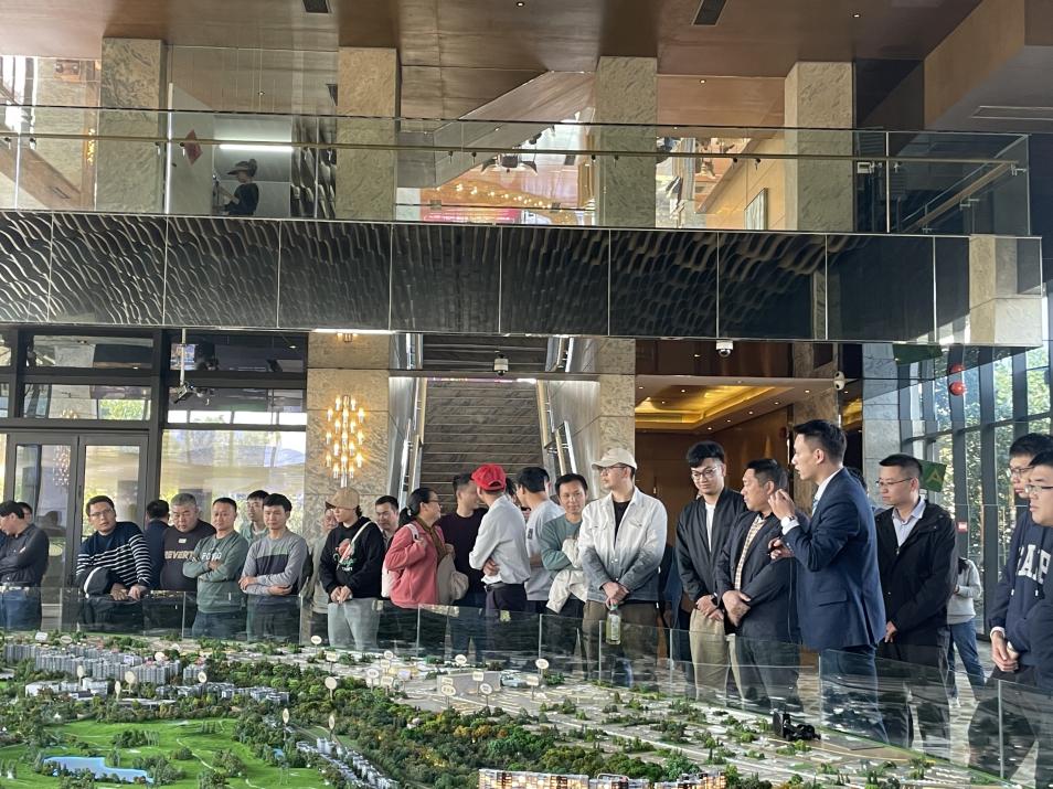 界以世界庄园标杆人居重塑湾区高品质置业逻辑凯发k8登录连续六年霸榜湾区销冠广佛新世(图6)