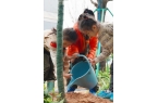 了广州未来的生活方式读懂这个项目就读懂